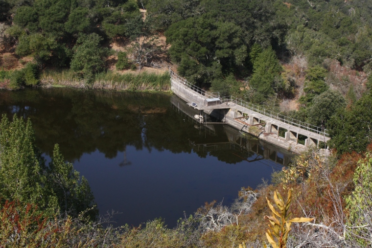 the stanford safari